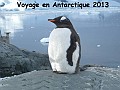Antartique -1